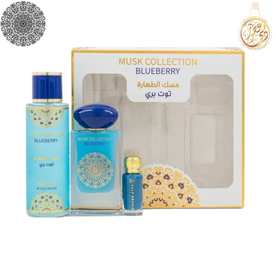 BLUEBERRY COFFRET 3PCS 322ML FEMME - LES PARFUMS DE DUBAI