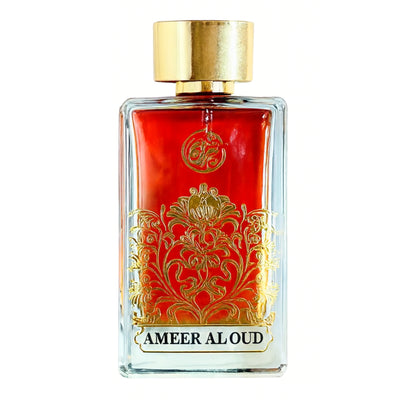Parfum Homme AMEER AL OUD SARAH CREATIONS Eau de Parfum 100mL