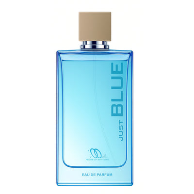 Parfum Homme JUST BLUE MAISON ILIANE Eau de Parfum 100ml.